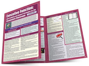 Executive Function: Skill-Building Support Strategies for the Elementary Classroom--NYC Edition