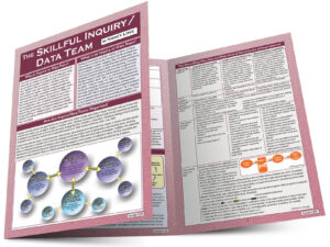 The Skillful Inquiry/Data Team -- NYC Edition